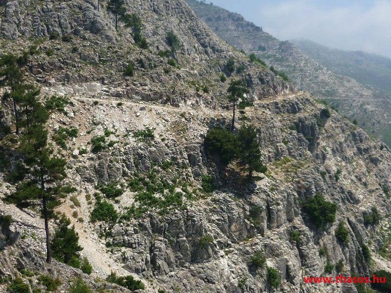 balazsh 2011